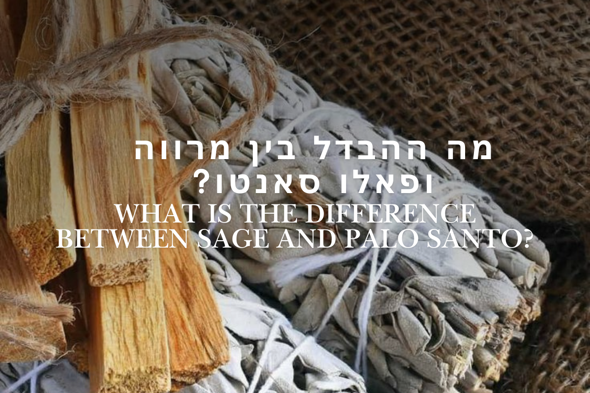 מרווה, פאלו סנטו ומה שביניהם