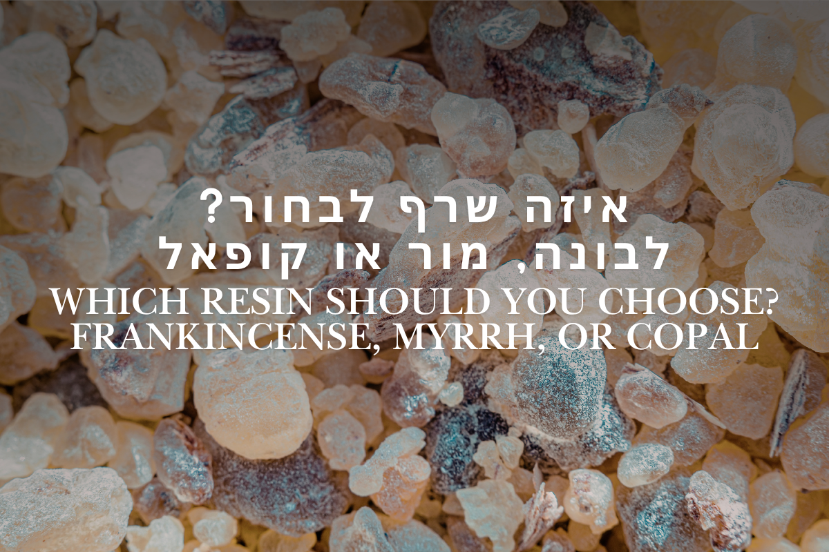 איזה שרף לבחור – לבונה, מור או קופל ובכלל מה ההבדלים ביניהם?