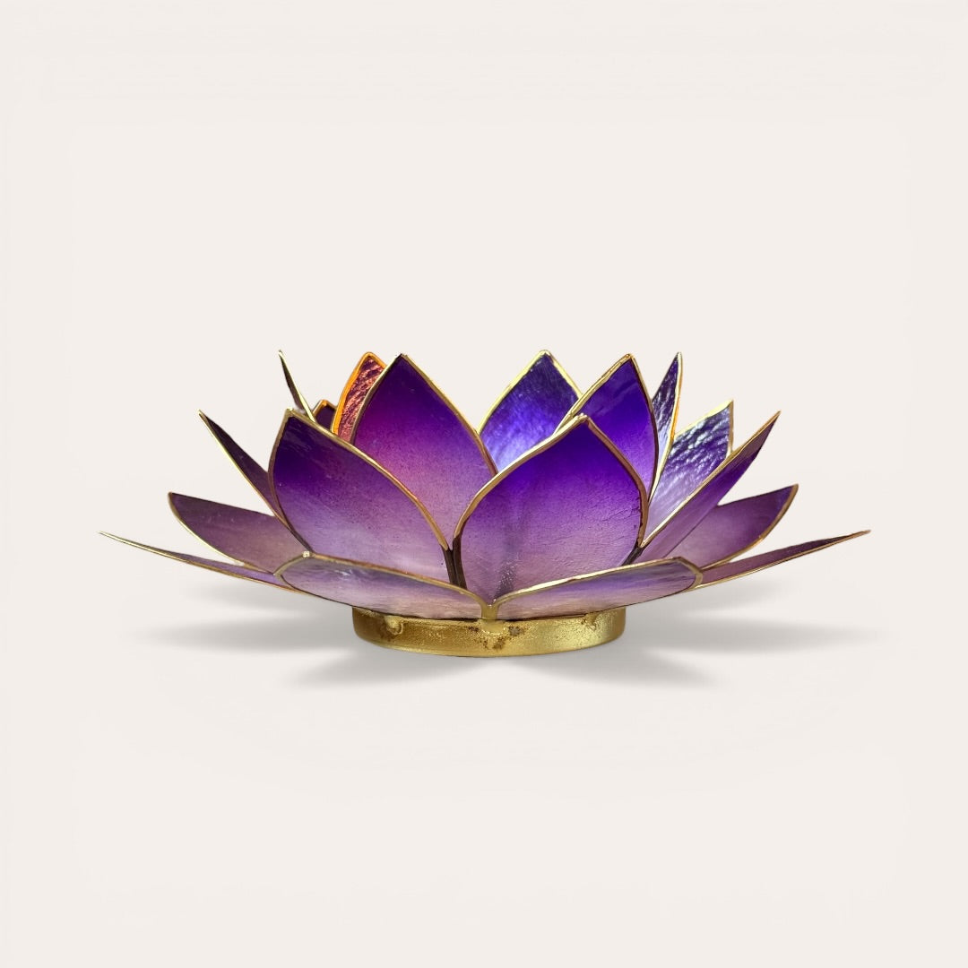 פמוט לוטוס סגול חיצוני