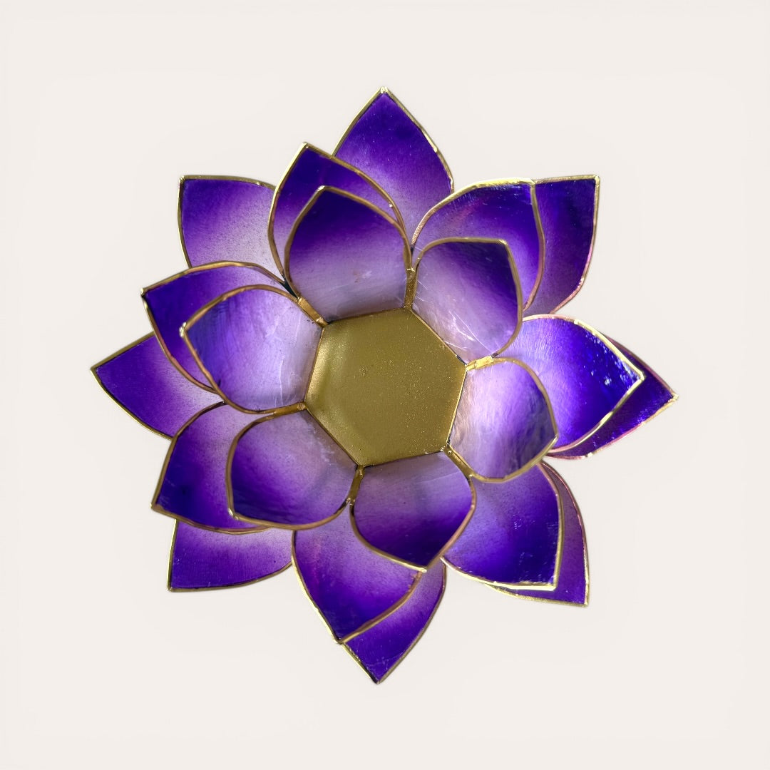 פמוט לוטוס סגול חיצוני