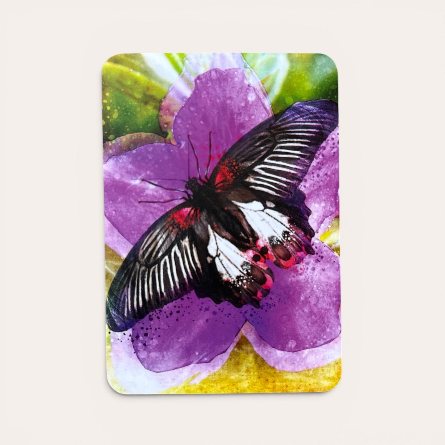 קלפי Butterfly Transformations