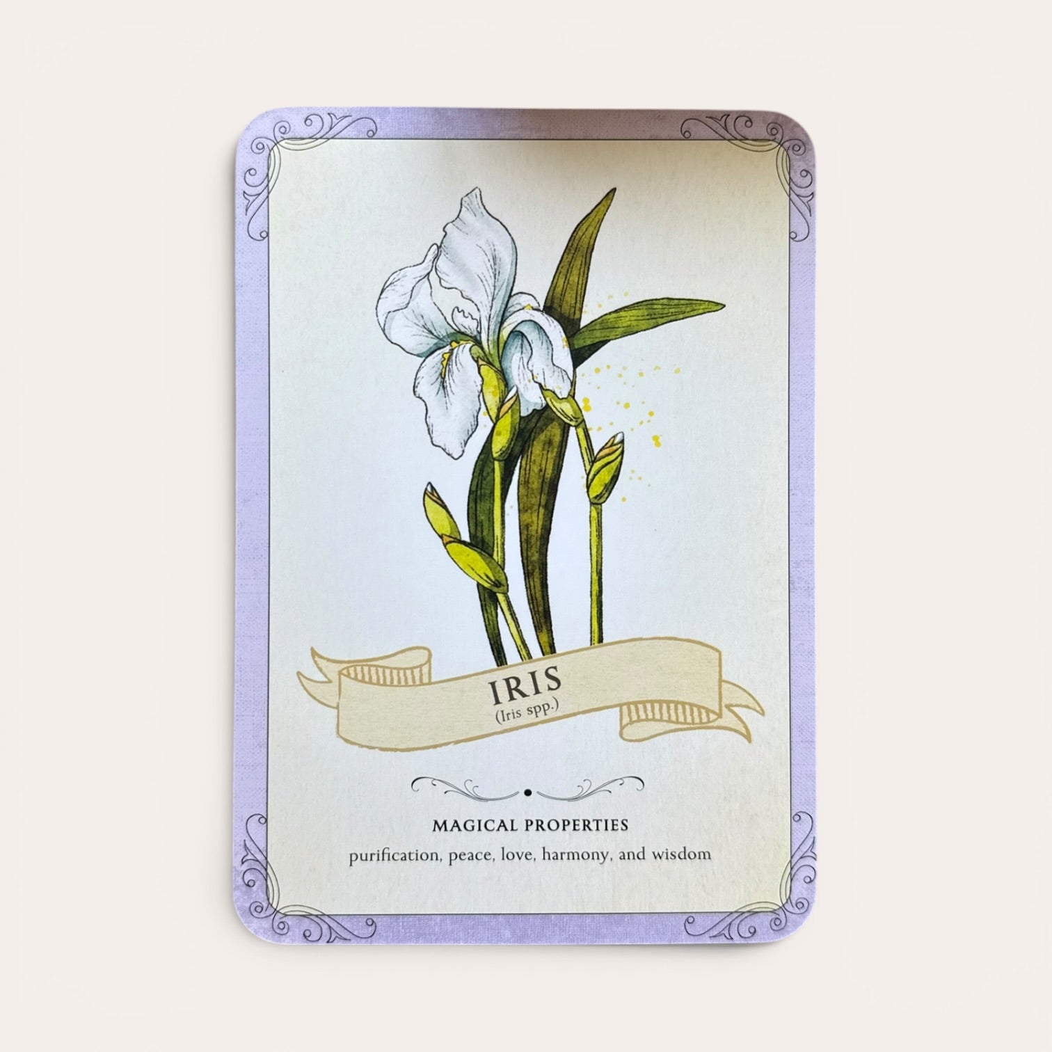 קלפי Magical Herbalism