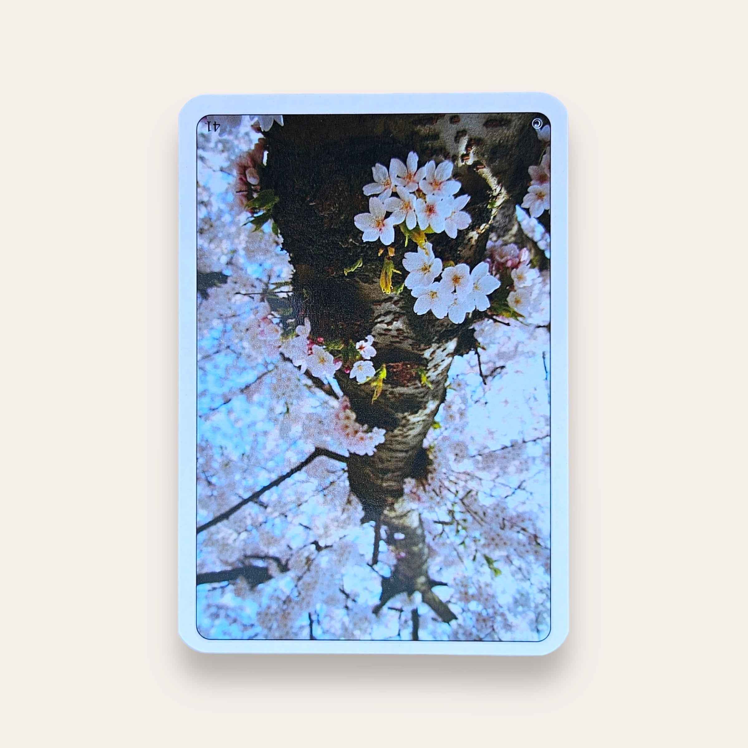 קלפי יועץ ועץ - קלפים טיפוליים