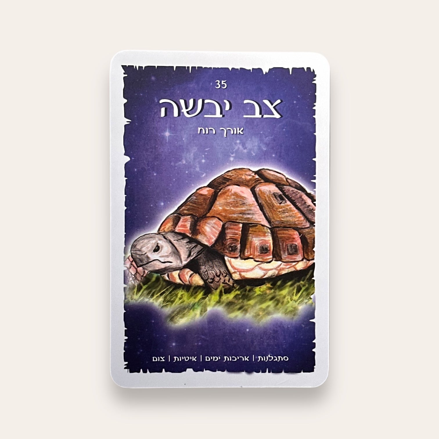 קלפים וספר טוטם בעלי החיים של ארץ ישראל