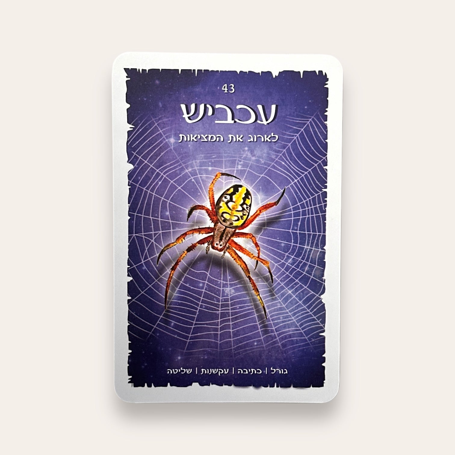 קלפים וספר טוטם בעלי החיים של ארץ ישראל