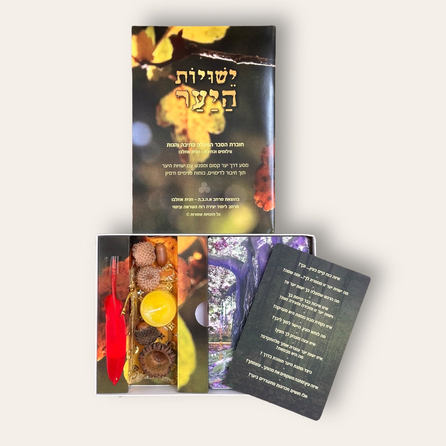 קלפי ישויות היער - Cosmic House