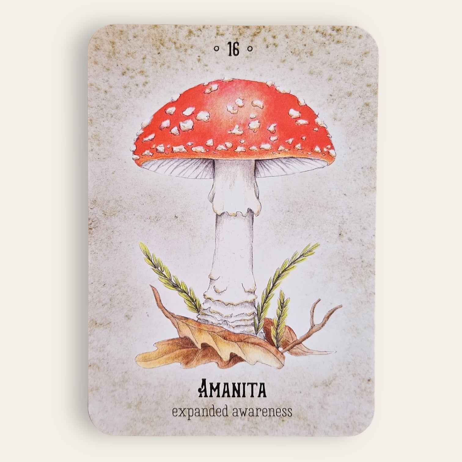 קלפי Mushroom Spirit Oracle