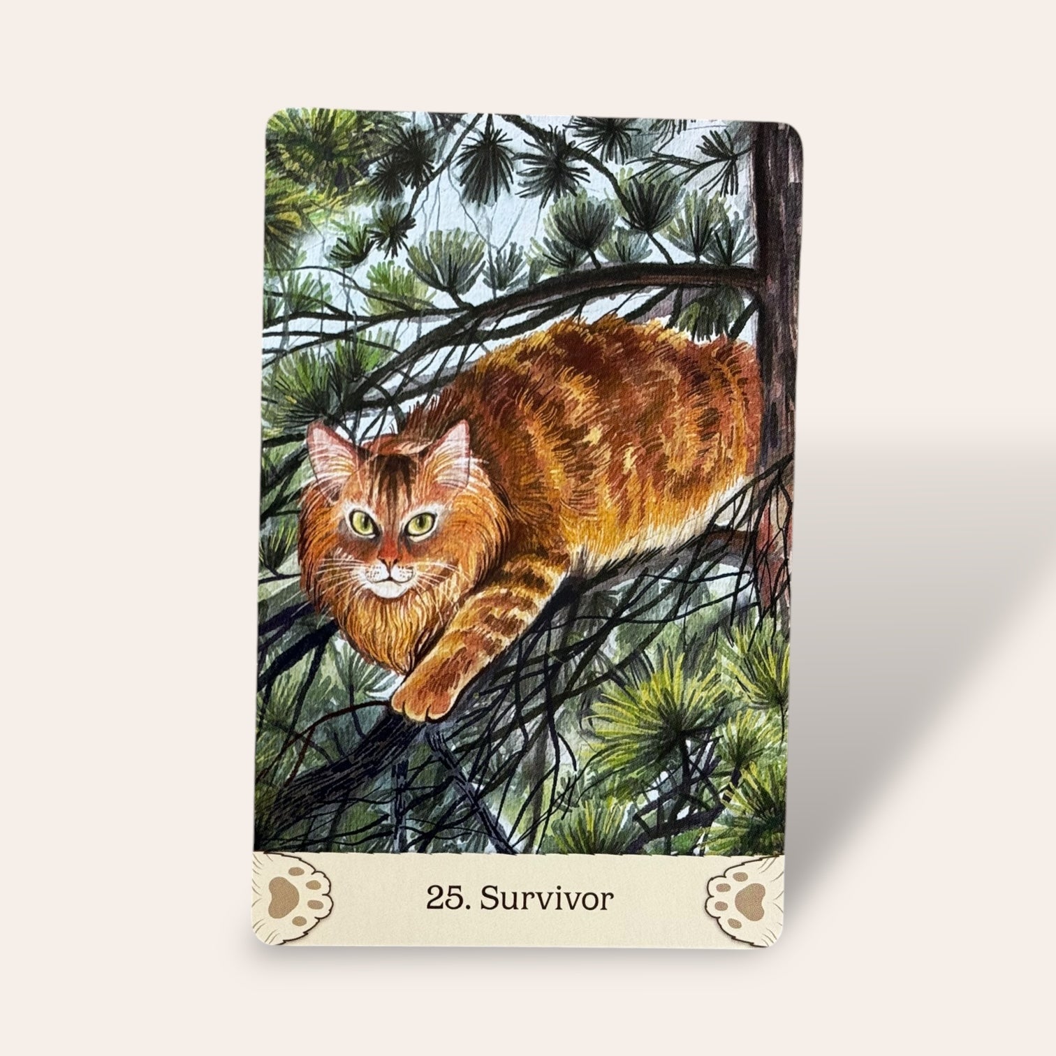 קלפי Cat Mythos & Magick