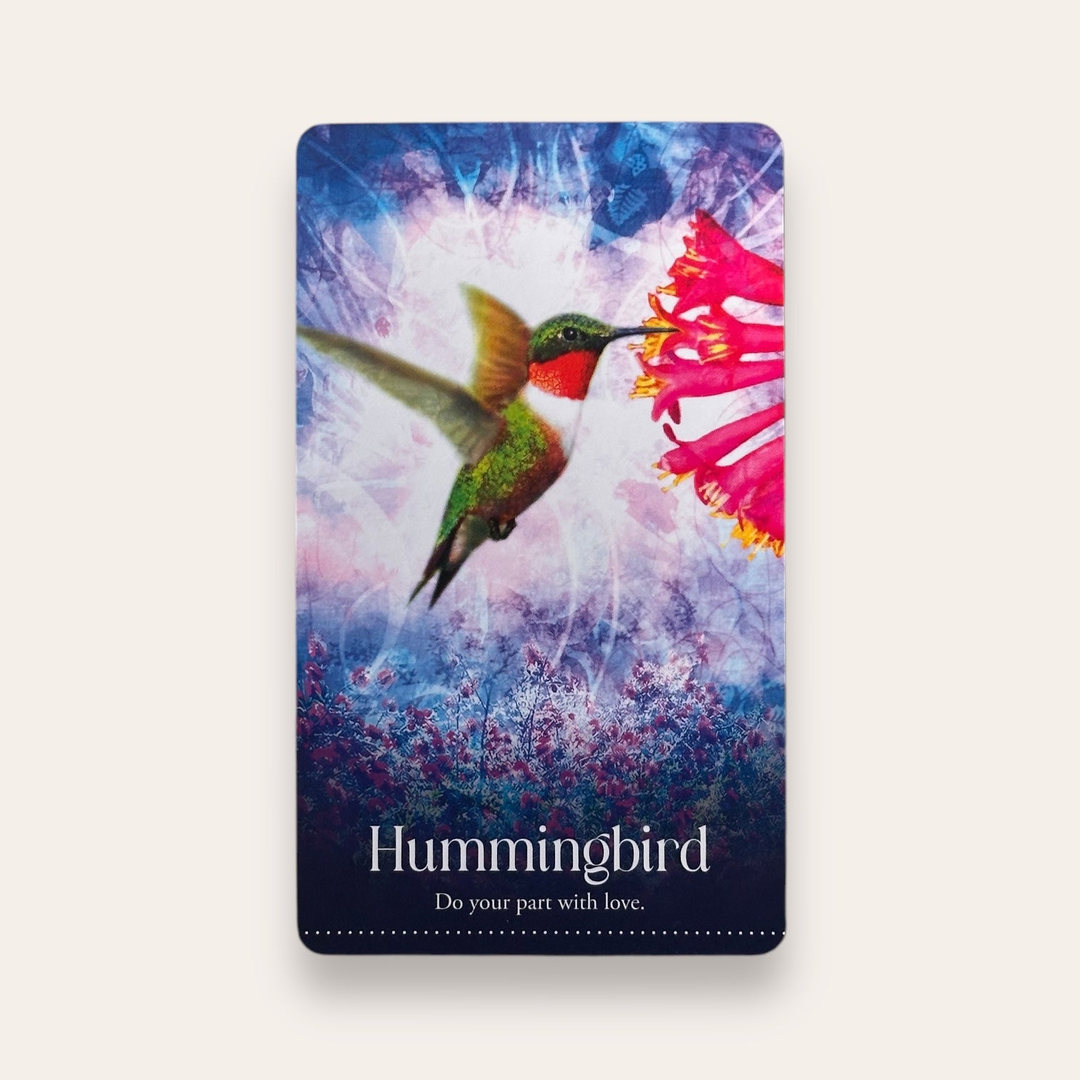 קלפי Wild Dreams Animal Oracle