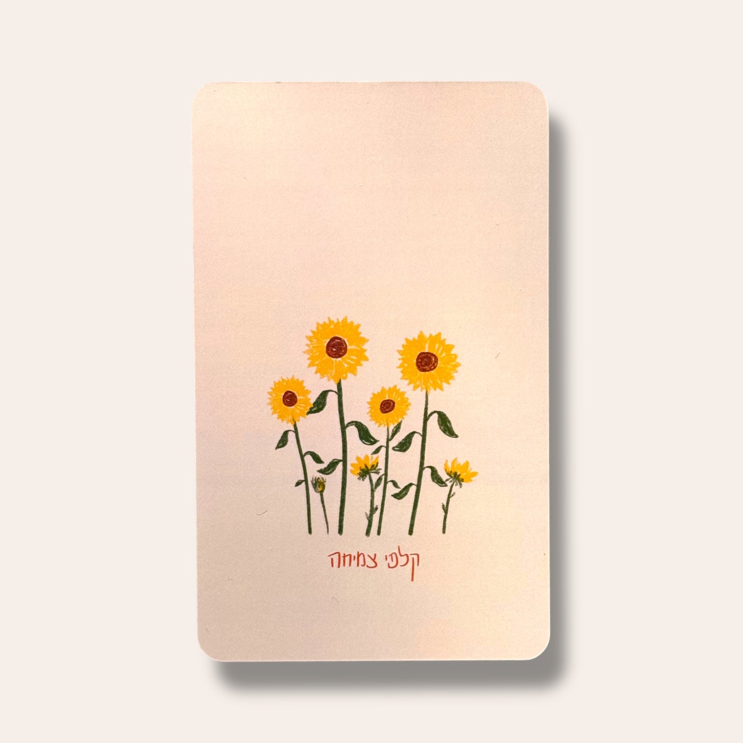 קלפי צמיחה - מסרים עמוקים בקלילות - Cosmic House