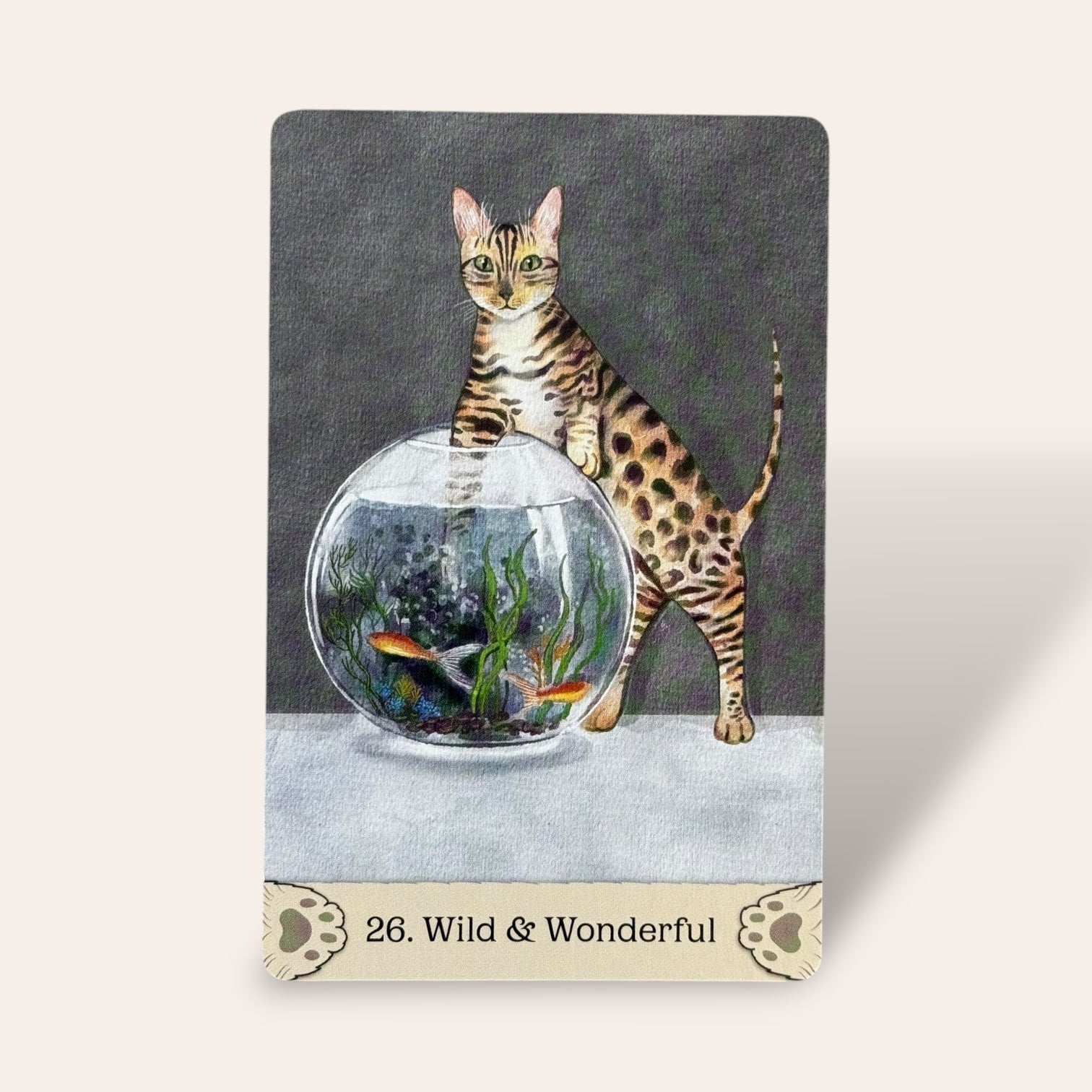 קלפי Cat Mythos & Magick