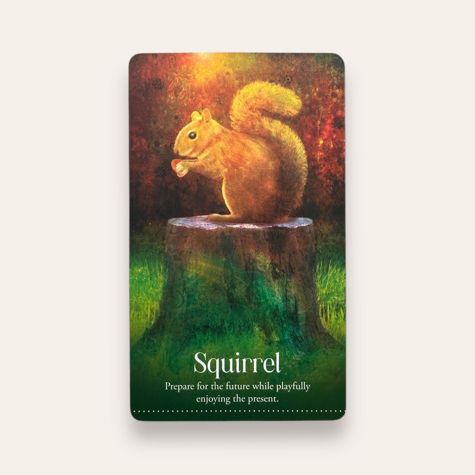 קלפי Wild Dreams Animal Oracle