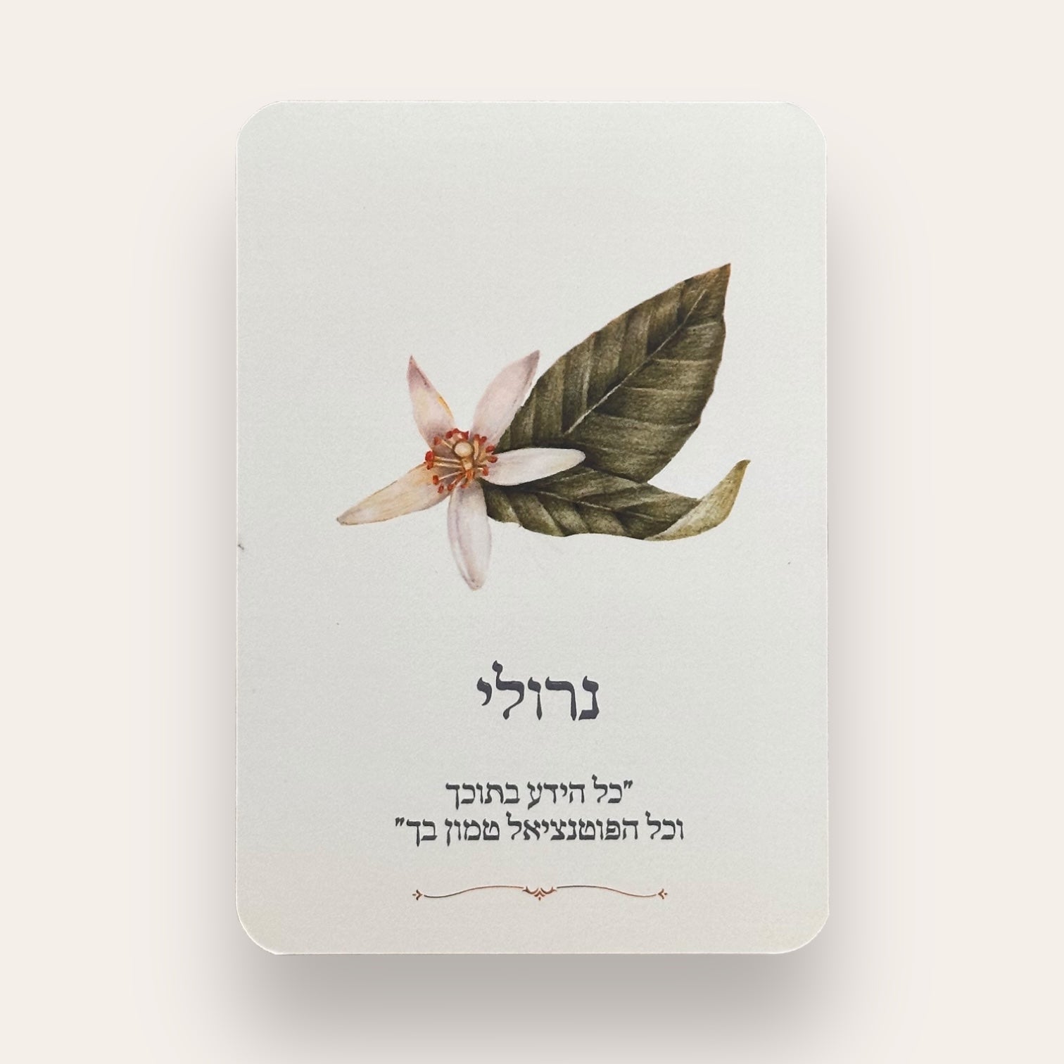 קלפי Rosecards - Cosmic House