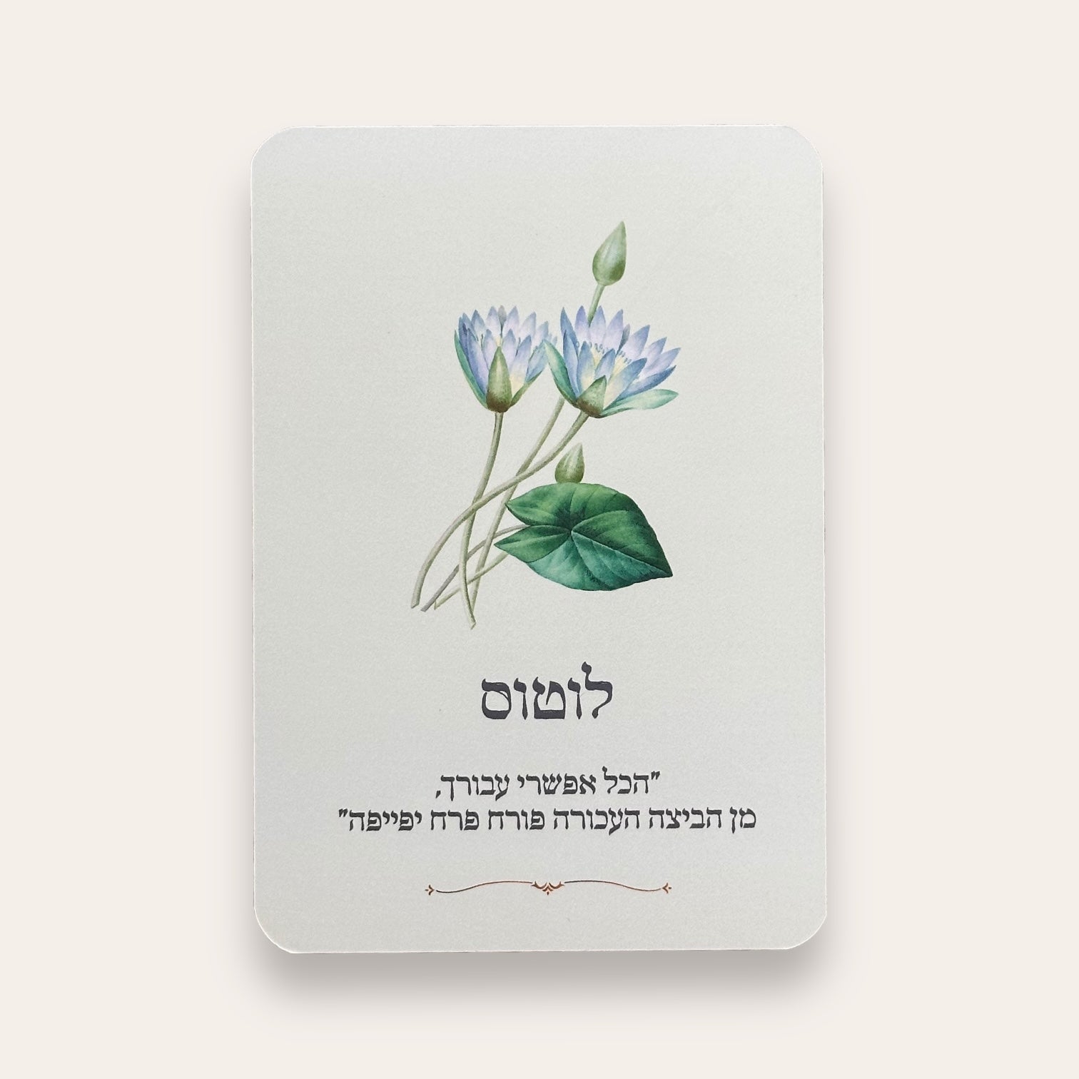 קלפי Rosecards - Cosmic House