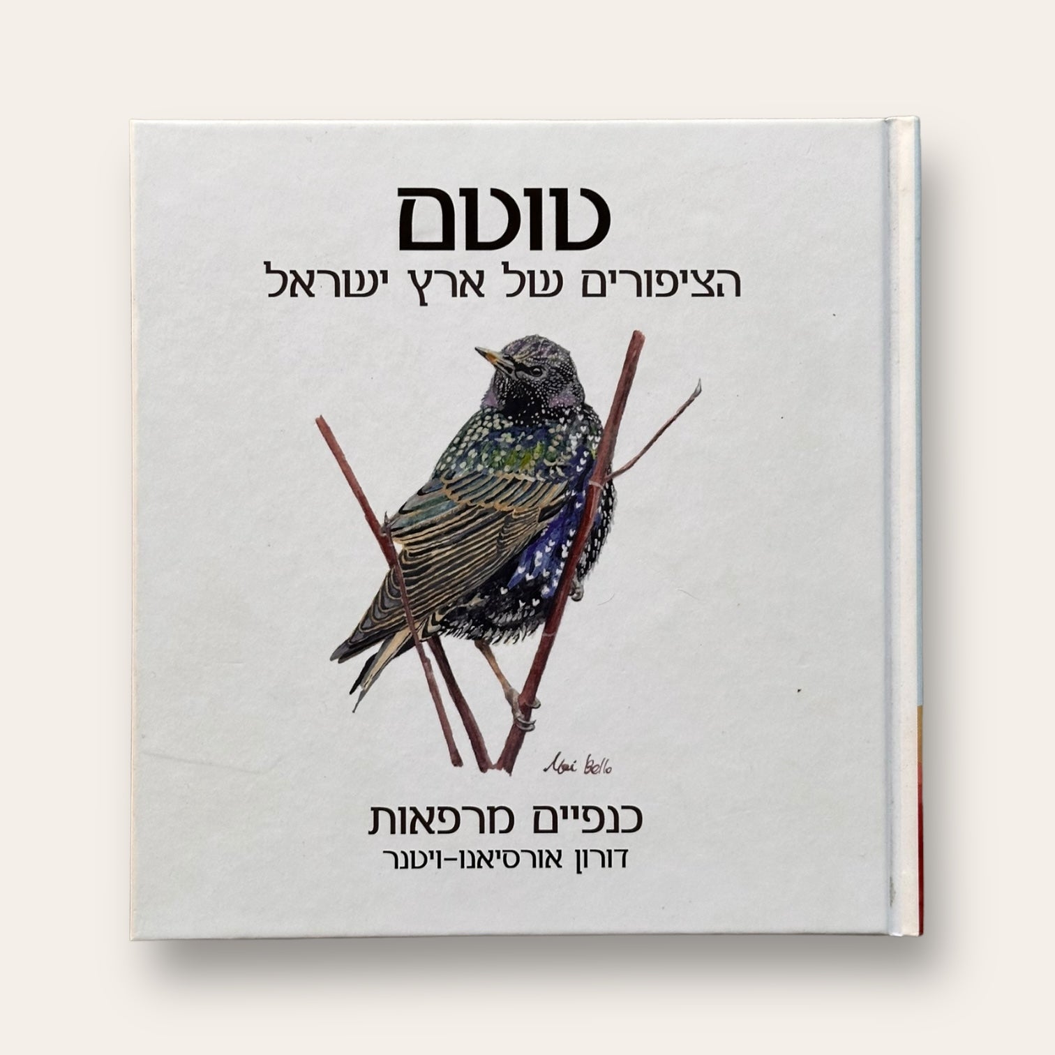 קלפים וספר טוטם הציפורים של ארץ ישראל - Cosmic House