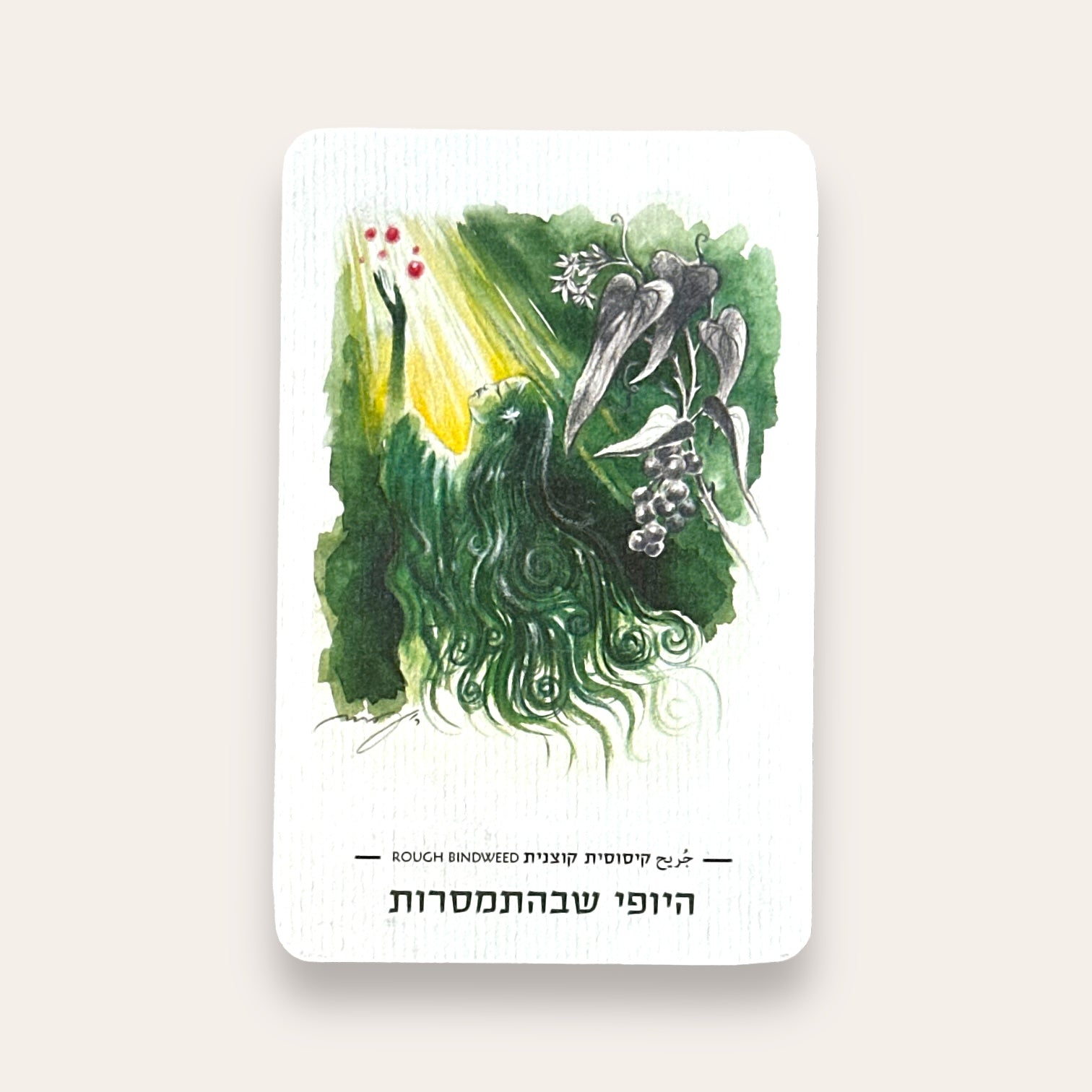 קלפי חוכמת הצמחים - Cosmic House