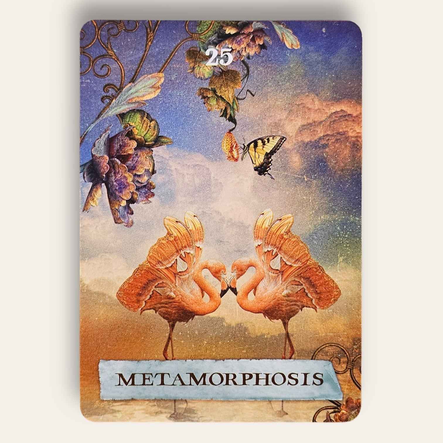 קלפי The Enchanted Map