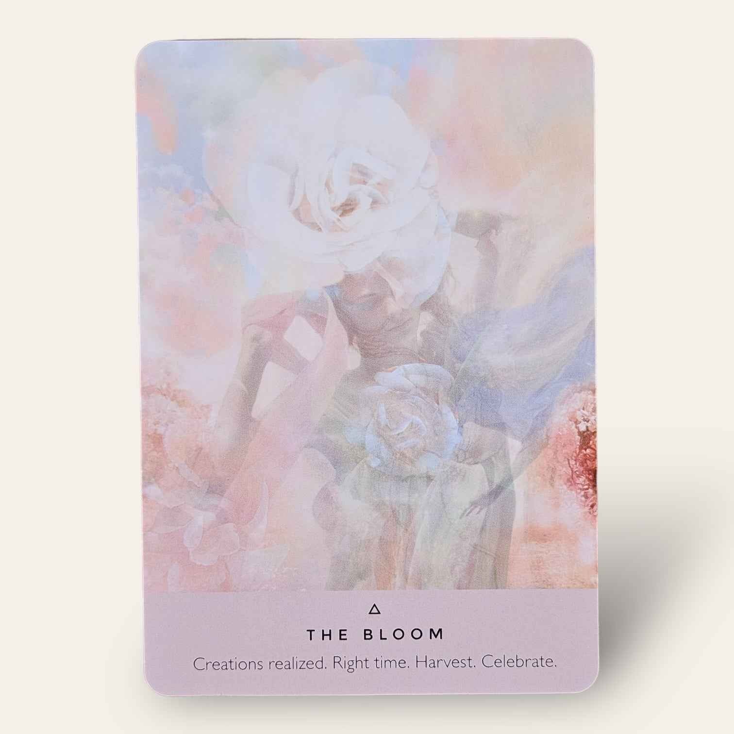 קלפי Rose Oracle