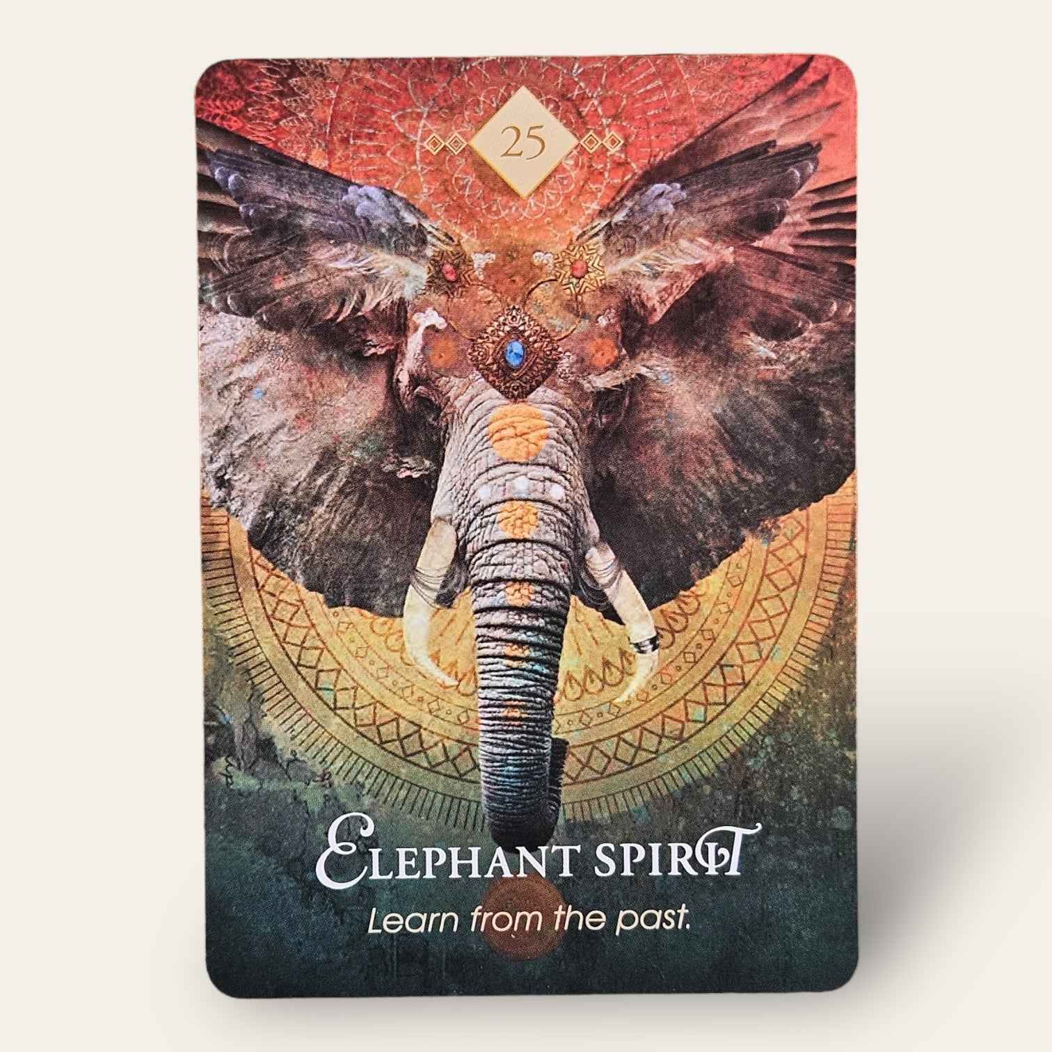 קלפי Spirit Animal Oracle