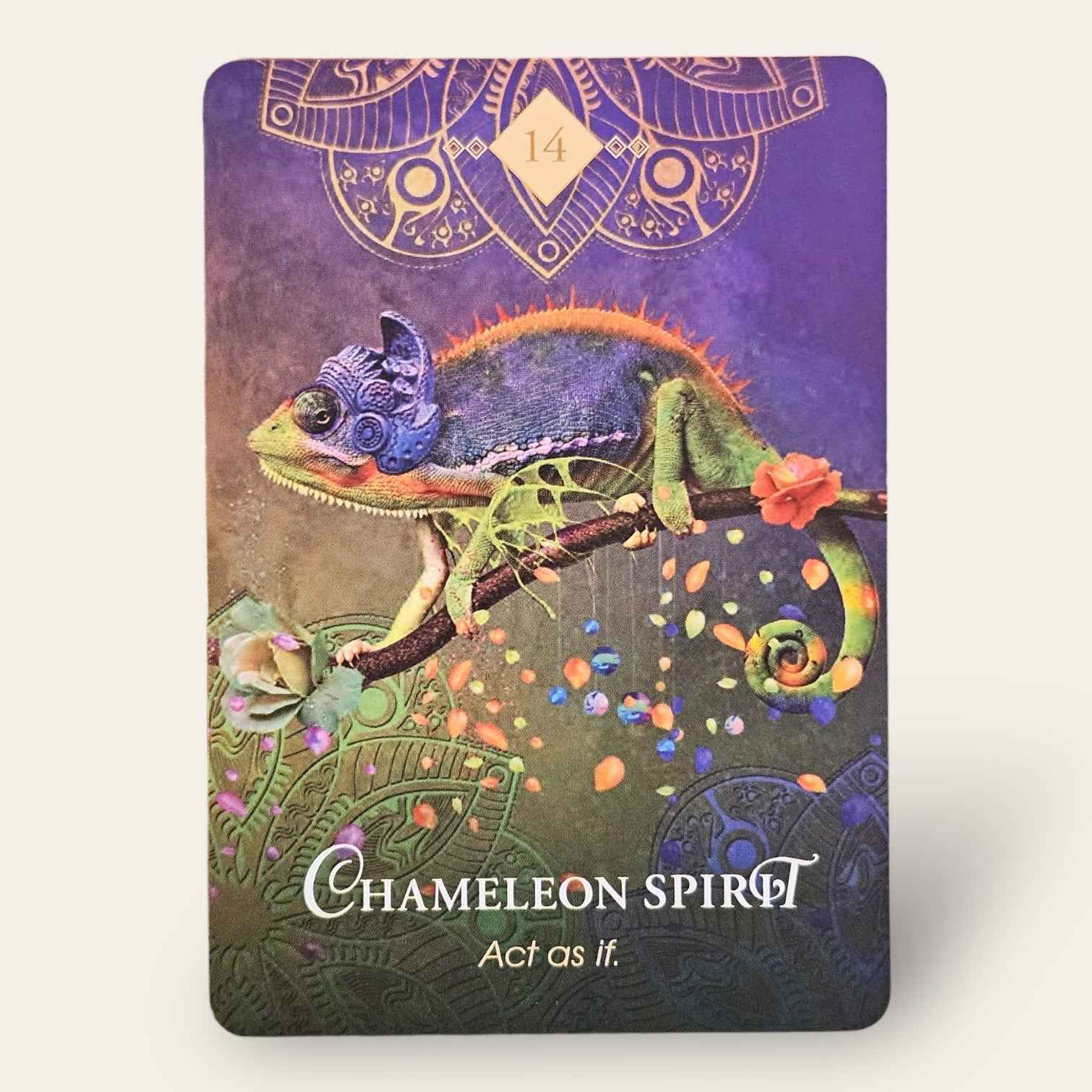קלפי Spirit Animal Oracle