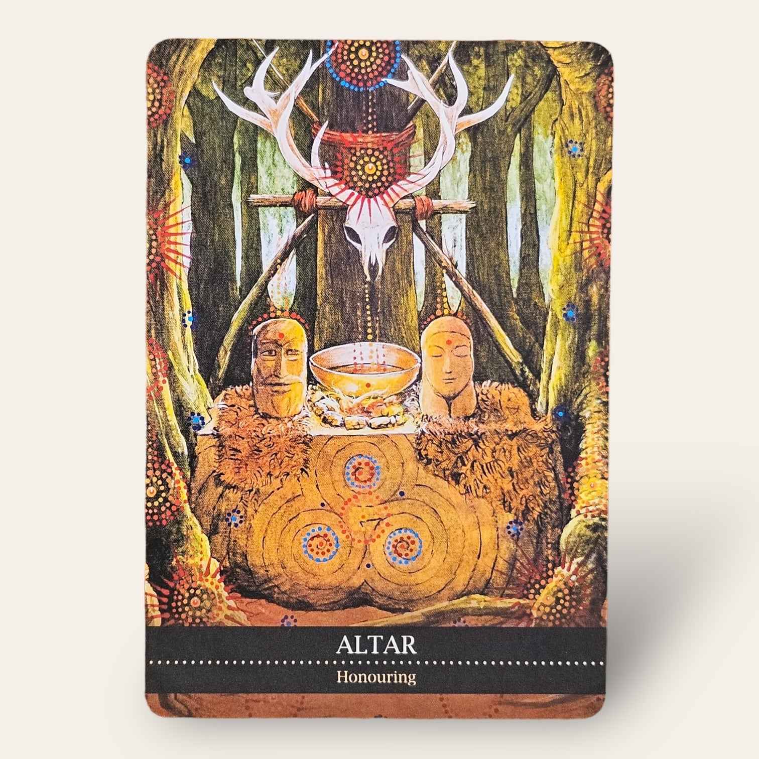 קלפי Shamanic Medicine