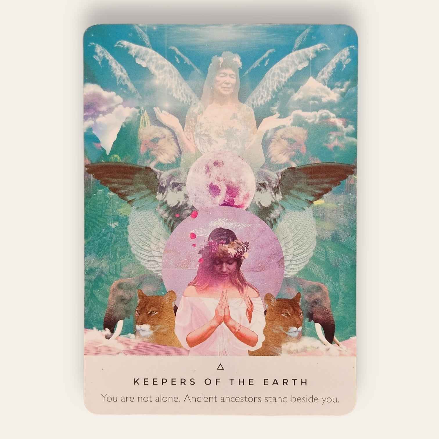 קלפי Work Your Light