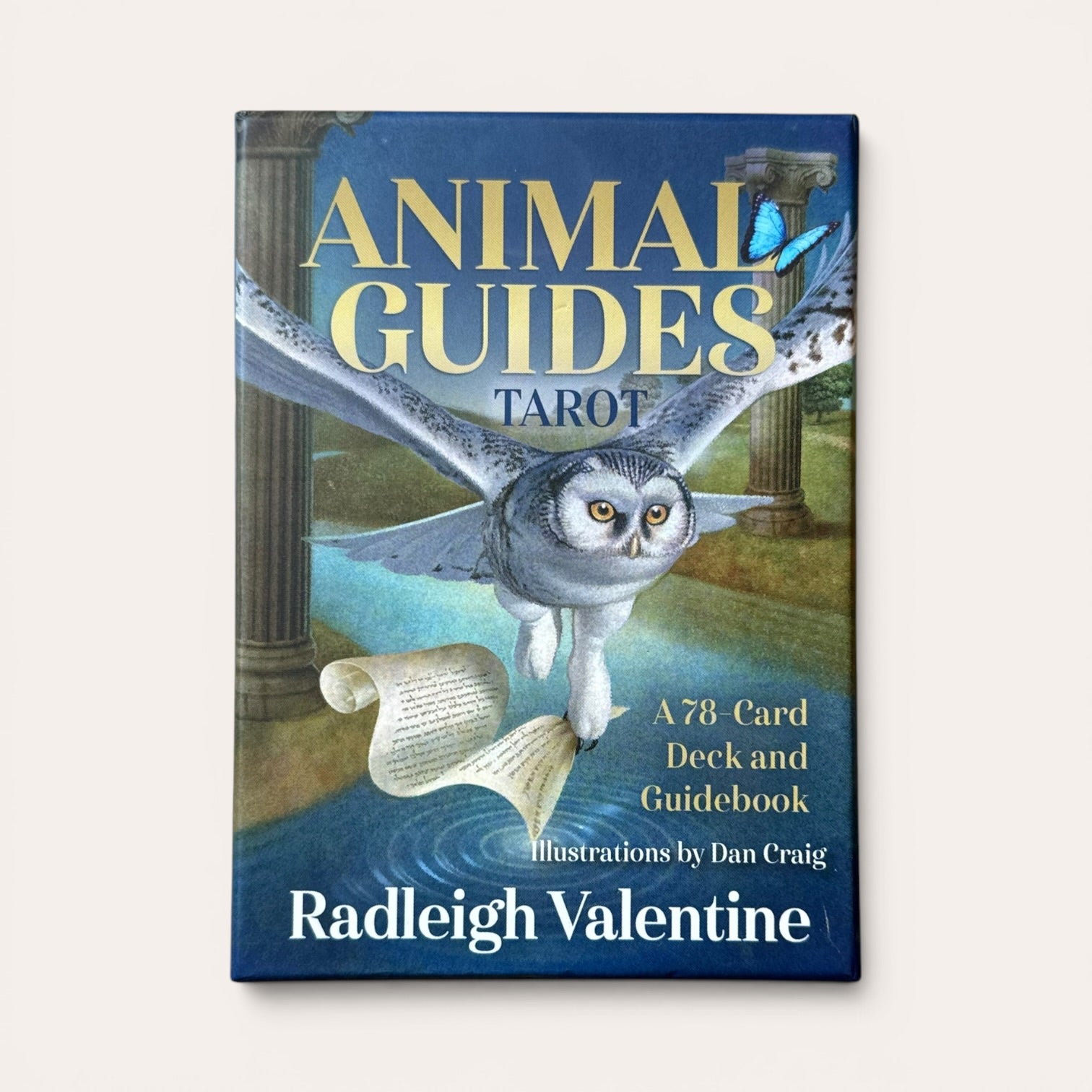 קלפי Animal Guides