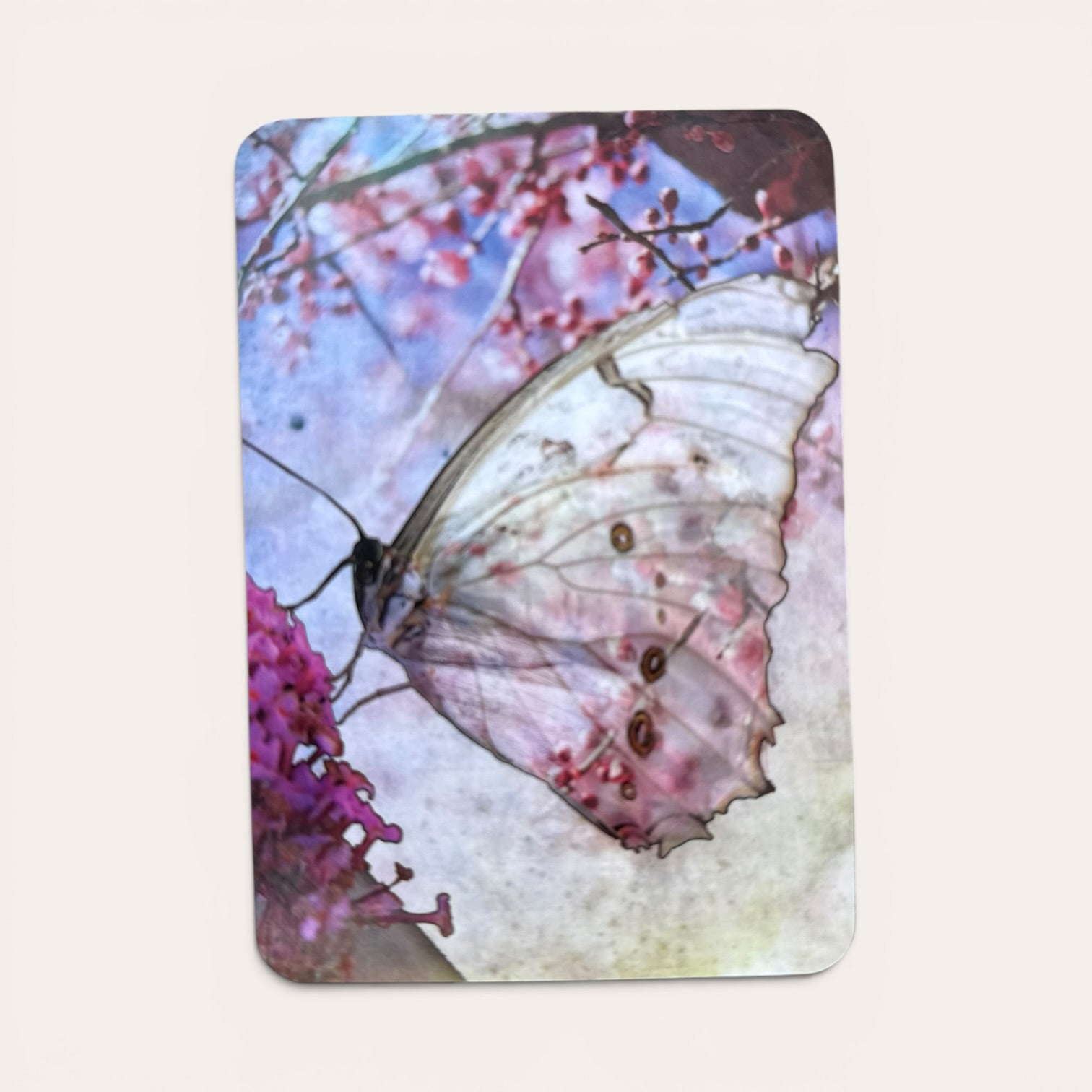 קלפי Butterfly Transformations