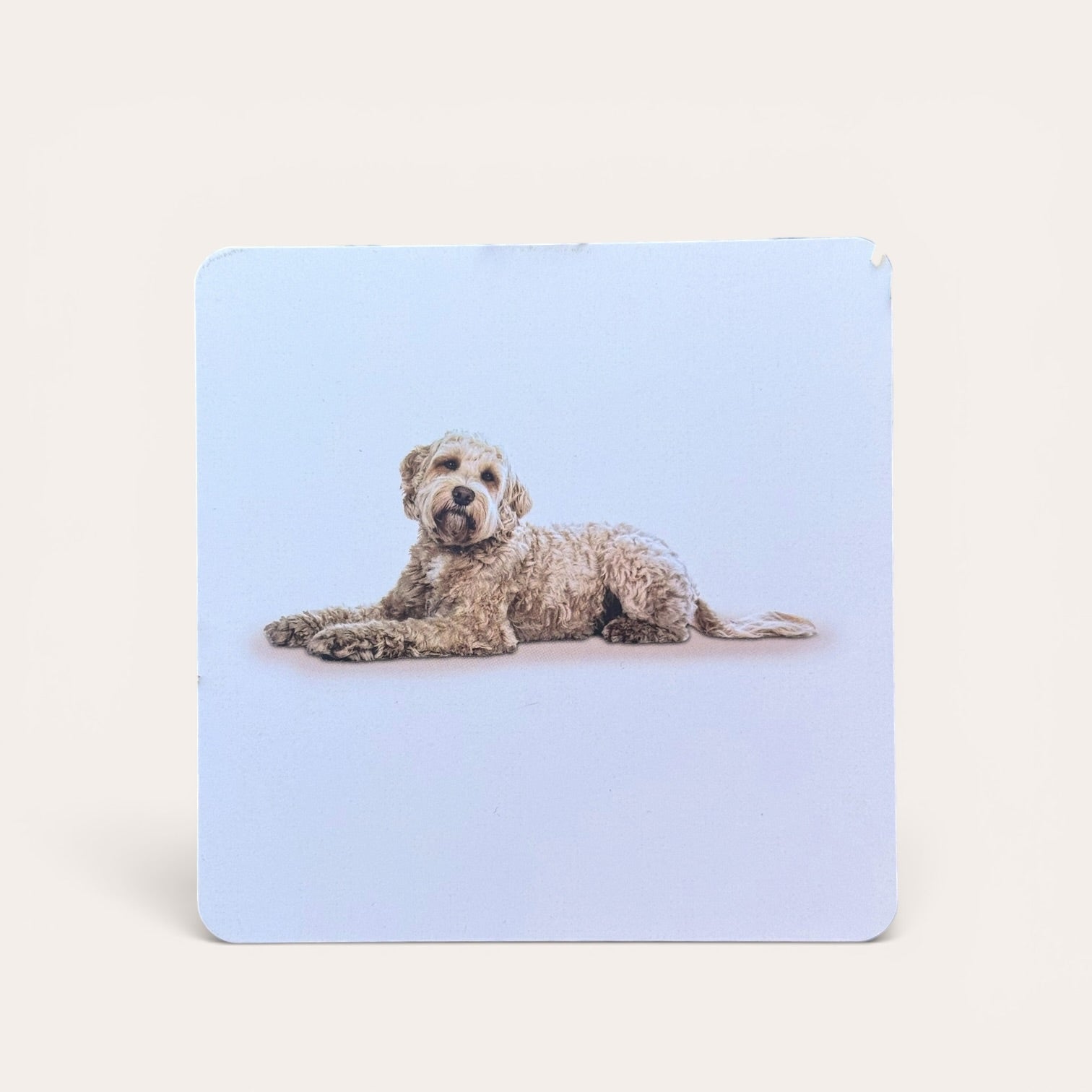 קלפי אלמנטים - קלפי טיפול, אימון וייעוץ