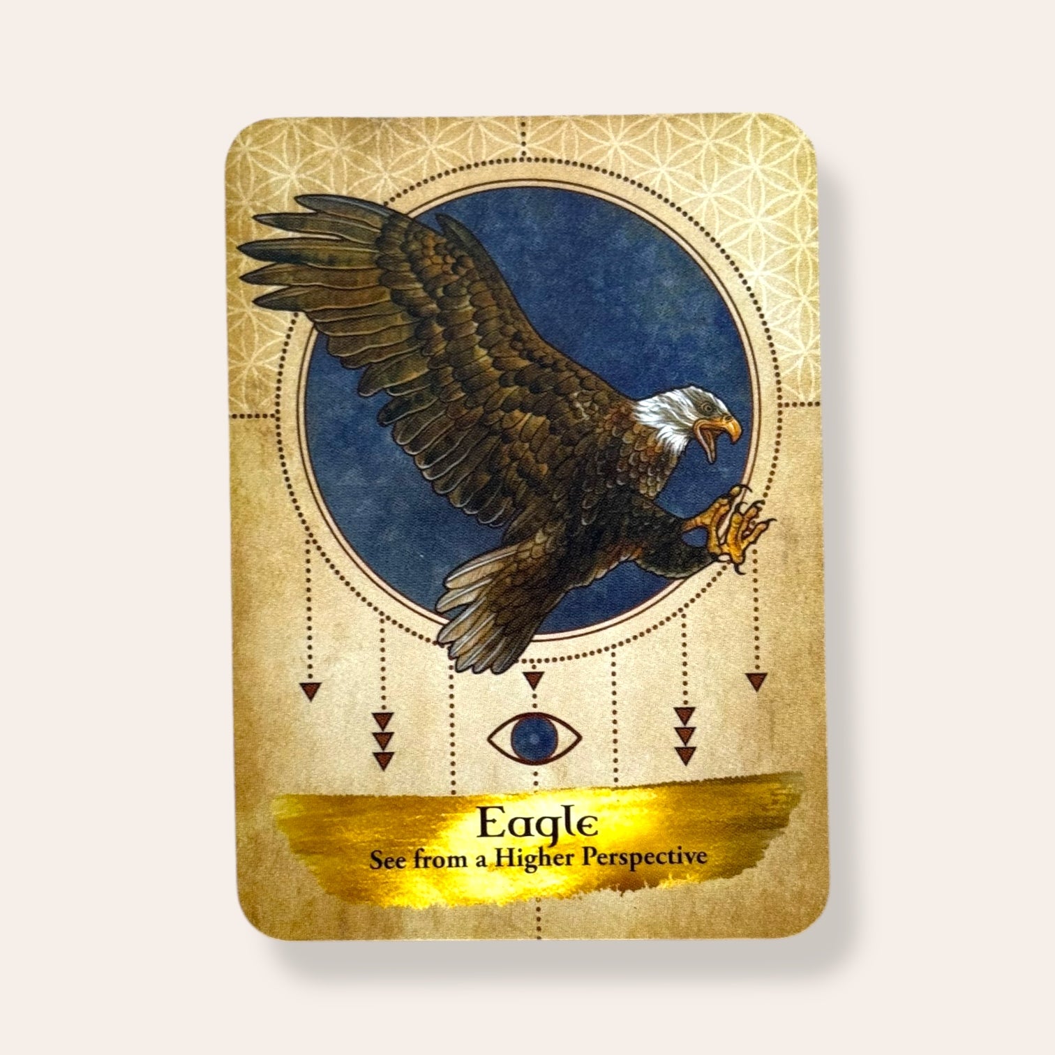 קלפי Angels And Ancestors Oracle