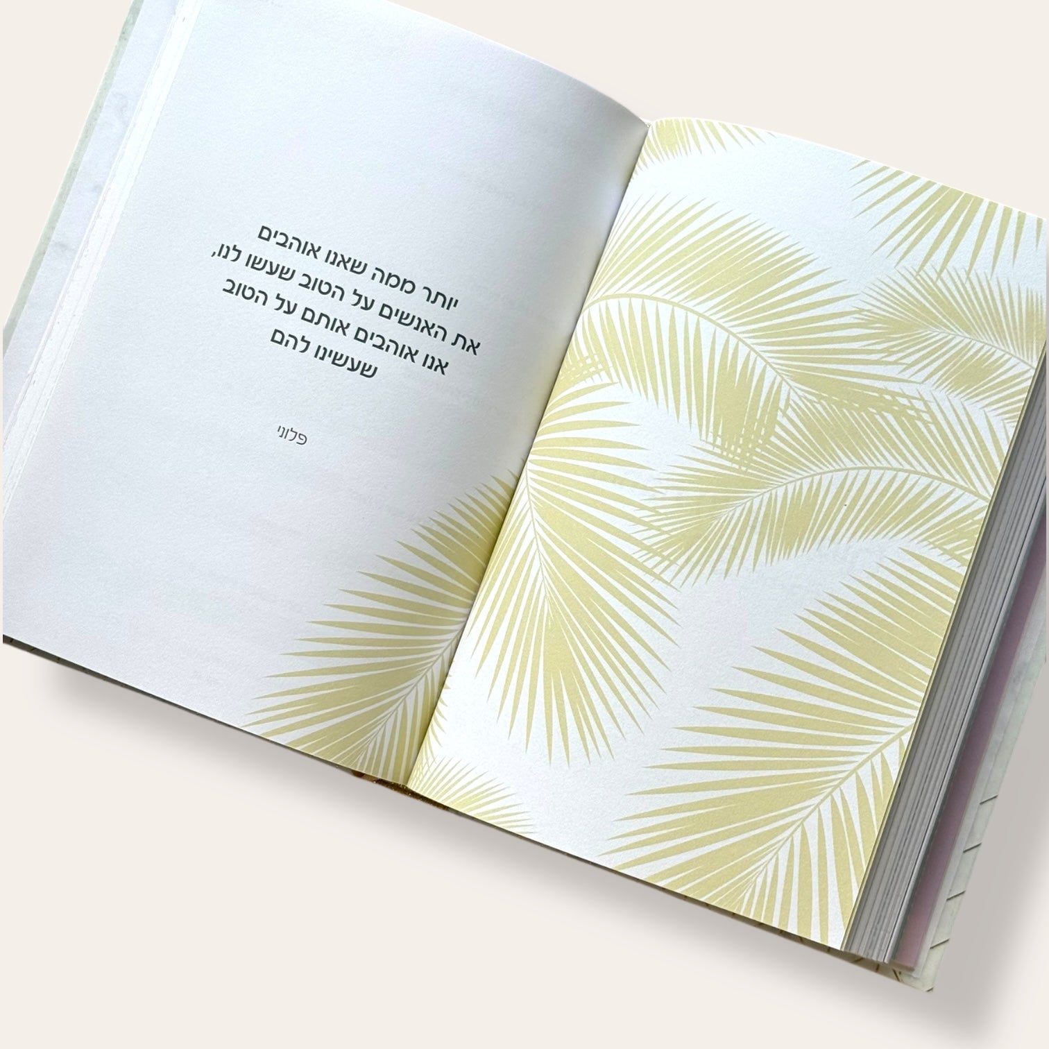 יומן נקודה של אור