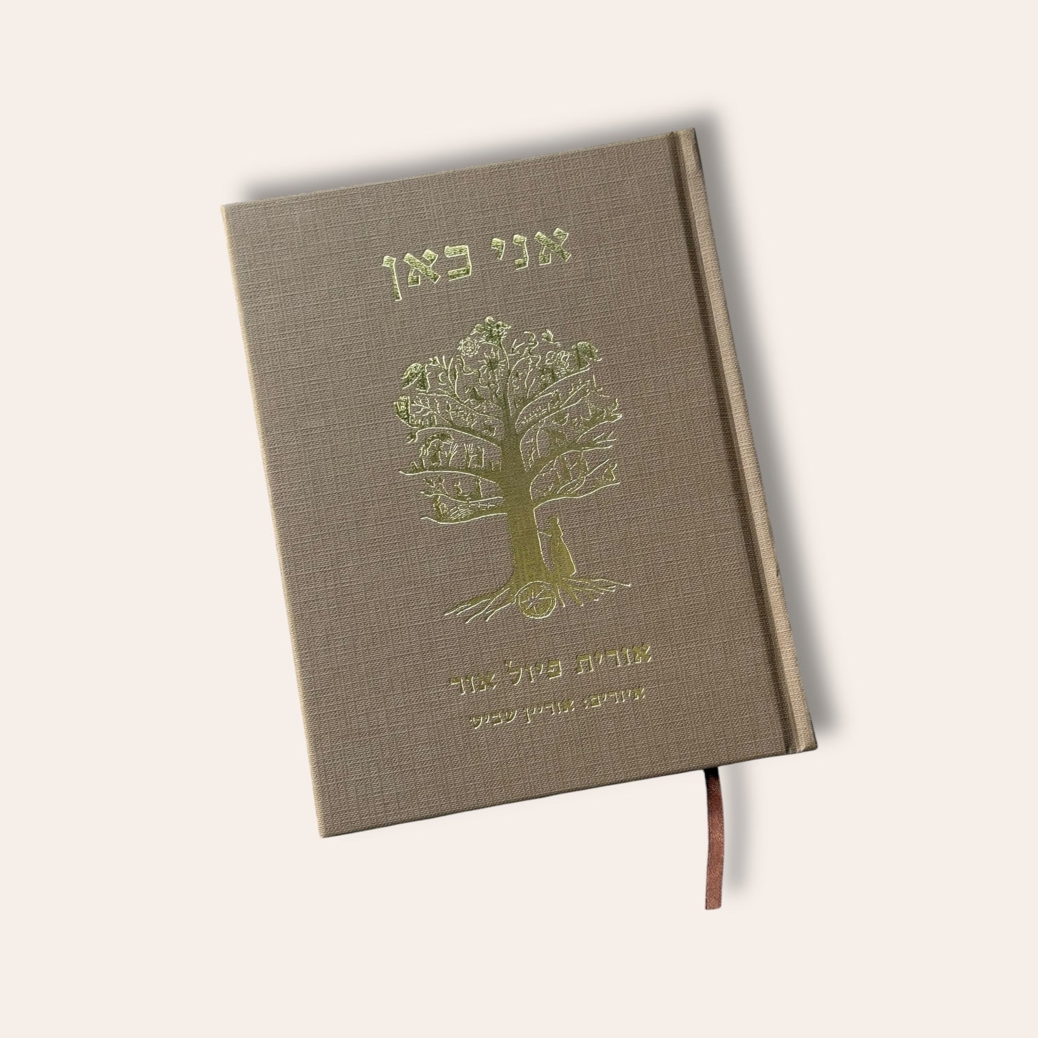 אני כאן